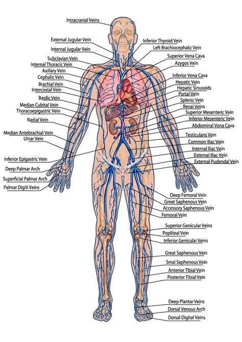 Pin on Science for Secondary Grades: Biology, Chemistry, Physics and more!