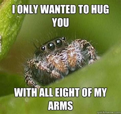 [Image - 499876] | Misunderstood Spider | Spiders funny, Spider meme ...