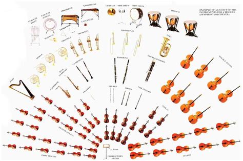 Diagram of modern symphony orchestra | Instruments of the orchestra, Elementary music ...