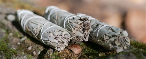 Native American Smudging Ceremonies and Rituals | AromaWeb