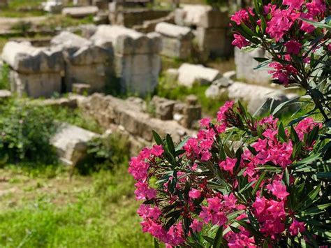 Tyre Lebanon ruins | Sophie's World Travel Inspiration