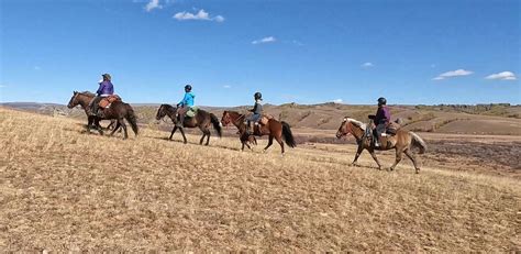 Travel to Mongolia 2023 - Stone Horse Mongolia