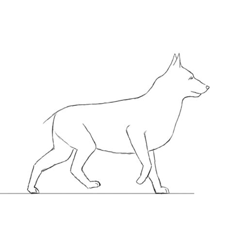 a line drawing of a dog walking