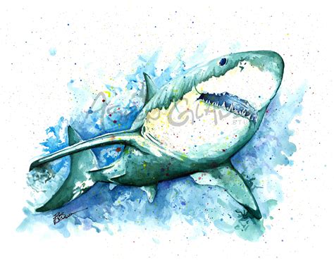 GREAT WHITE SHARK Watercolor Art Print Watercolor Painting by | Etsy