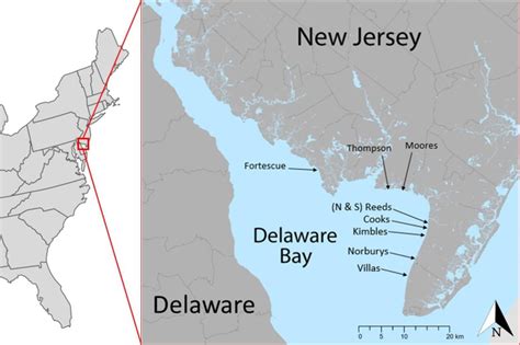 Delaware Bay map showing the locations of the beaches where interviews... | Download Scientific ...