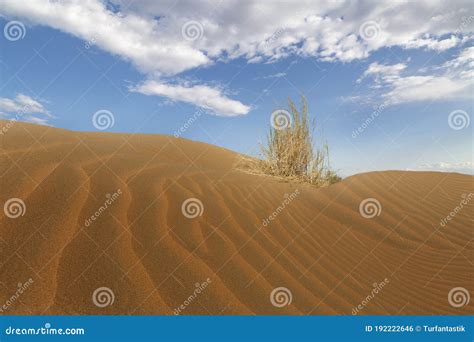 Kyzylkum Desert, Known Also As Red Sand Desert, Uzbekistan. Stock Photo ...