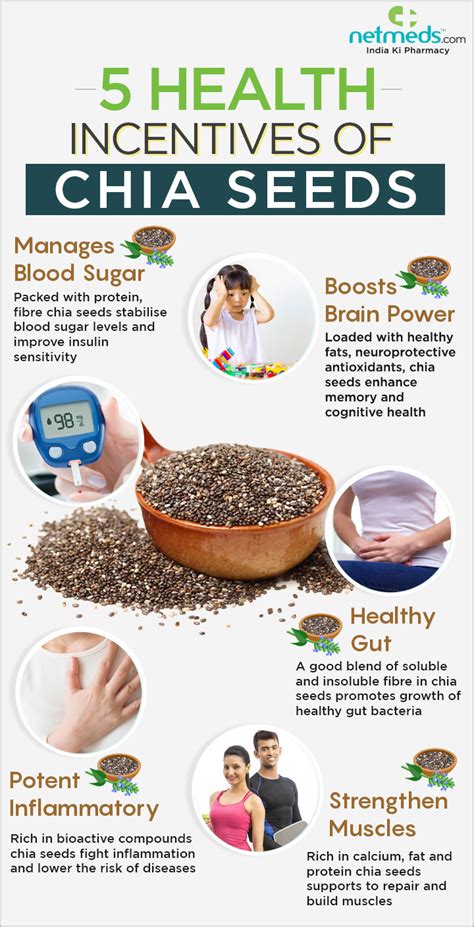 Chia Seeds: 5 Healthy Reasons To Add This Nutrient Dense Seed In Your Diet- Infographic