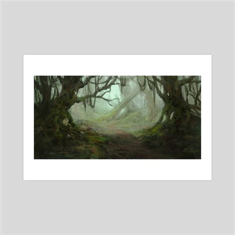 Ancient Forest, an art print by Ed Pulella - INPRNT