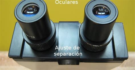 Oculares Microscopio Optico | vlr.eng.br