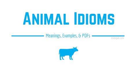 Animal Idioms List with Meanings, Examples, & PDFs - ESL Expat