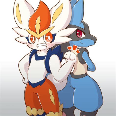 Lucario and Cinderace by Acky05 on DeviantArt