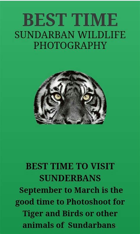 Sundarban Wildlife Photography | Sunderban Birds & Tigers Photography