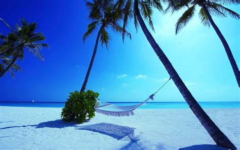 Hammock Maldives Beach wallpaper | 1920x1200 | #30578