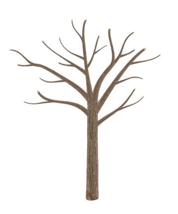 High Quality Dead Tree Isolated On White Nature, Dead, Skeleton, Bark PNG Transparent Image and ...
