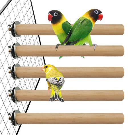 10 Best Canary Bird Perches for Optimal Comfort and Health - Hummingbirds Plus