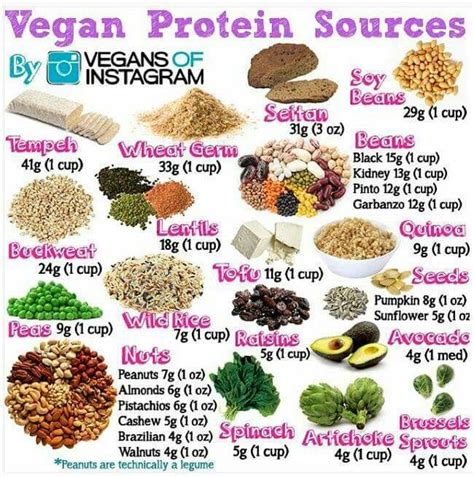 Vegan Protein | Vegan protein sources, Vegan foods, Vegan diet