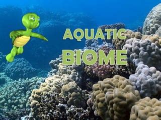 Aquatic biome | PPT