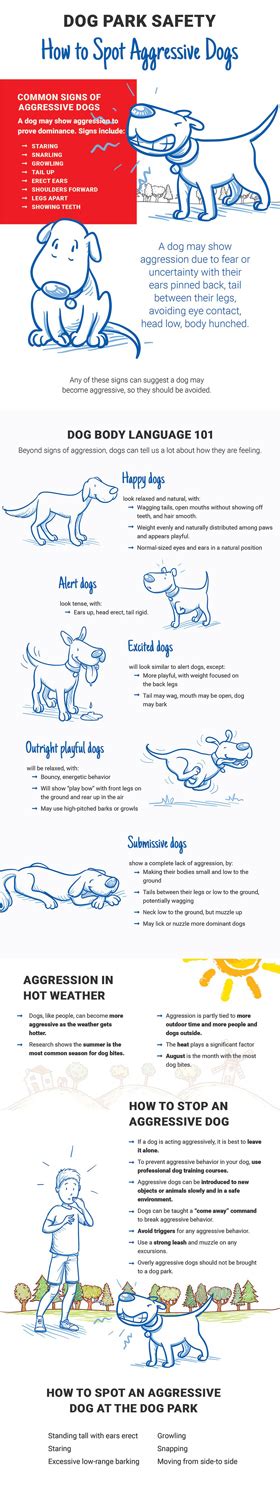 Dog Park Safety: How to Spot Aggressive Dogs | Latest Infographics