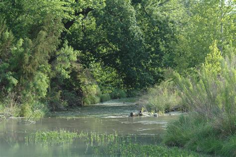 South Llano River Canoes & Kayaks - Sports & Recreation - Junction ...