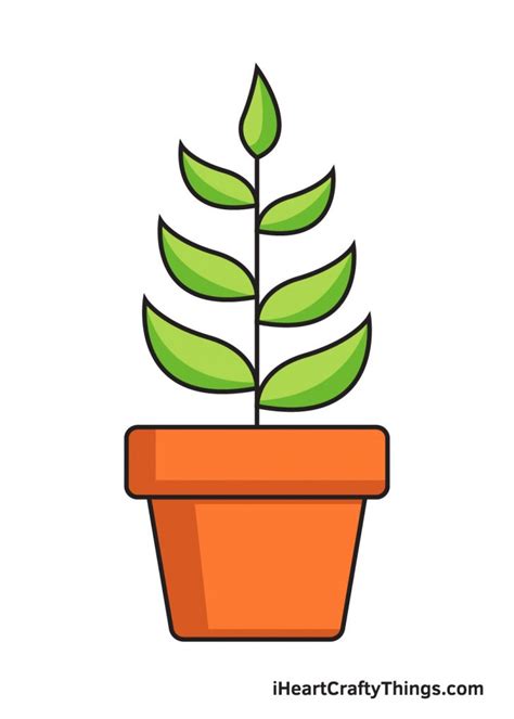 Plant Drawing - How To Draw A Plant Step By Step