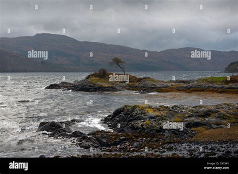 Loch sunart scotland strontian hi-res stock photography and images - Alamy