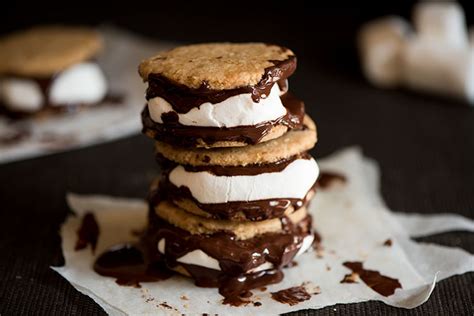 Dark Chocolate Digestive Biscuits S'mores | Curious Nut