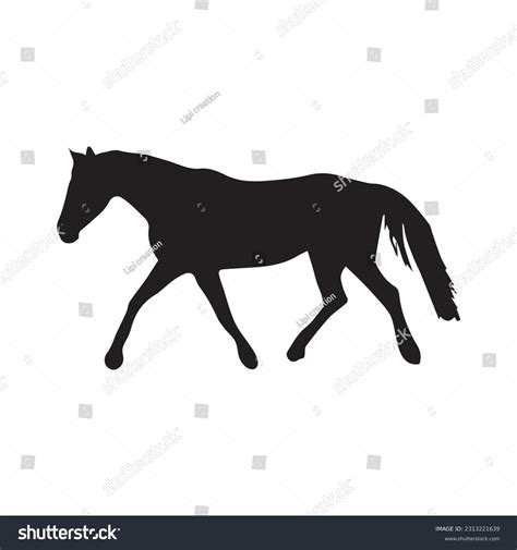 Horse Silhouette Walk: Over 2,897 Royalty-Free Licensable Stock Vectors ...