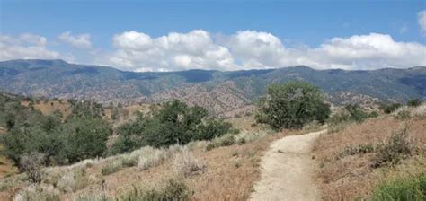 10 Best Hikes and Trails in Sequoia National Forest | AllTrails