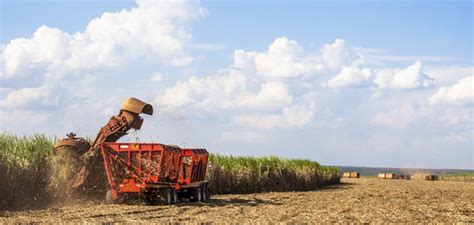 Brazilian Cane and Sugar Production in 2017: First Thoughts