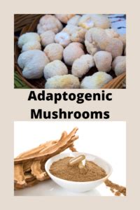 Adaptogenic Mushrooms - Be Well Solutions