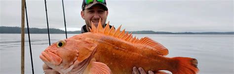 Fishing – Alaska's Fly-in Fishing Lodge