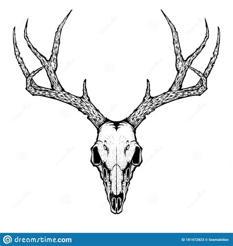 Deer Skull Vector Illustration for Tattoo, Printing on T-shirts, Posters and Other Items. Animal ...