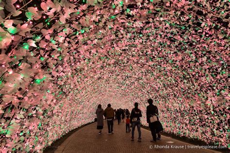 Nabana no Sato Winter Illumination- A Spectacular Light Festival in Japan