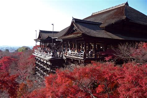 Japon : les 8 plus beaux temples à voir absolument