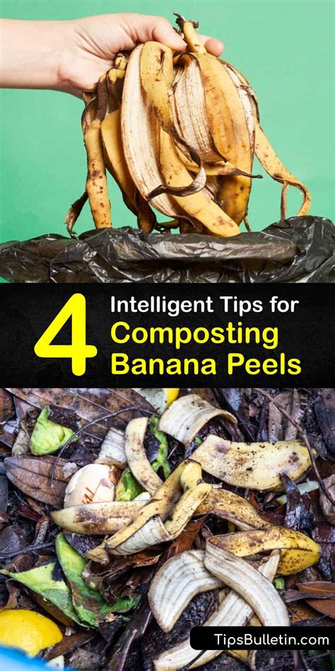 Banana Peels in Your Compost - Composting a Banana Peel