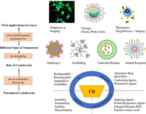 Frontiers | Cyclodextrin nanoparticles for diagnosis and potential cancer therapy: A systematic ...