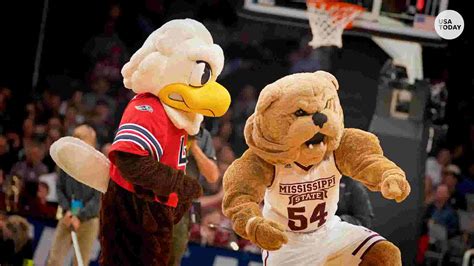 5 of the most common, unoriginal NCAA mascots in the game