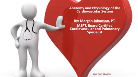 Anatomy and Physiology of the Heart – Good Heart Education