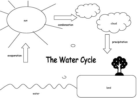 Label The Water Cycle Worksheet