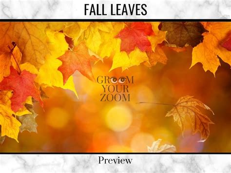 Fall Leaves Zoom Background 4 Virtual Backgrounds for Video | Etsy