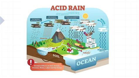 Meteorological hazards.pptx