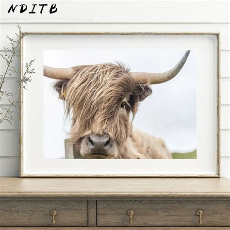 Nditb Highland Cow Wall Art Canvas Painting Animal Posters And Prints ...