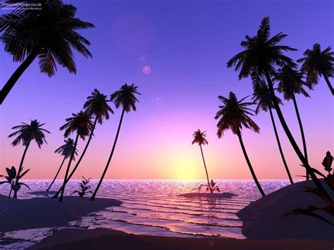 Palm Tree Beach Wallpaper