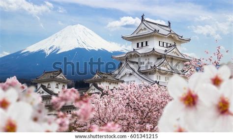 Himeji Castle Full Cherry Blossom Fuji Stock Photo (Edit Now) 601341215