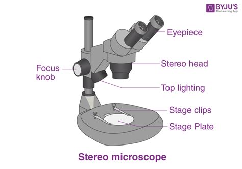 Types of microscope and their uses - Types of microscope and their uses Types of microscope and ...