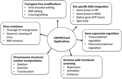 Frontiers | Gene Editing and Crop Improvement Using CRISPR-Cas9 System