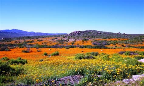 De 10 Mooiste Nationale Parken in Zuid-Afrika | Panorama's en wildlife | Wereldreizigers.nl