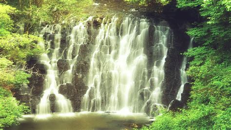 Relaxing Waterfall Sound [1 HOUR] - YouTube