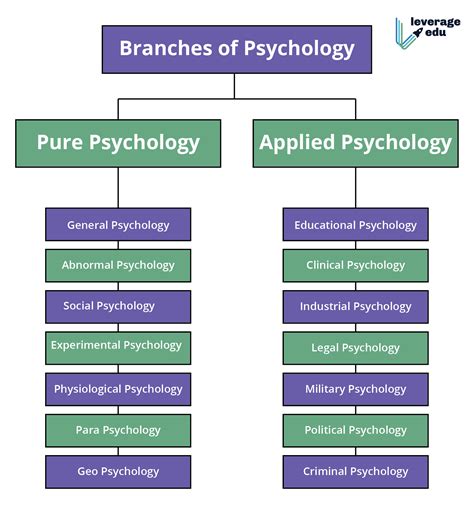 MSc Psychology- Best Career Paths in Psychology [2020] - Leverage Edu