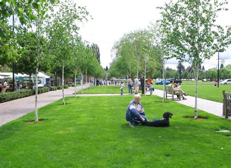 Programmed Spaces- Open Lawn Lawn, Dolores Park, Public, Resort, Travel, Spaces, Viajes ...